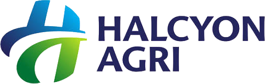 Halcyon logo